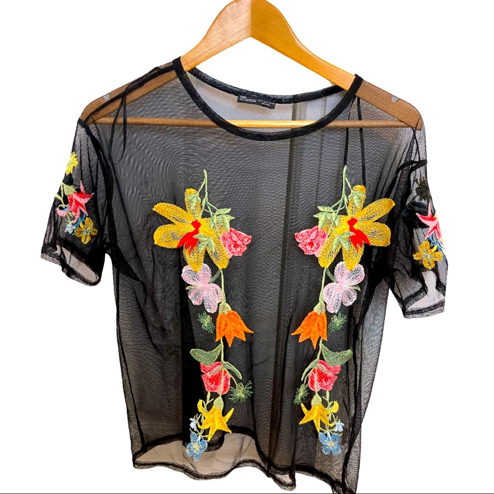 Multi color Sheer Zara top🖤
